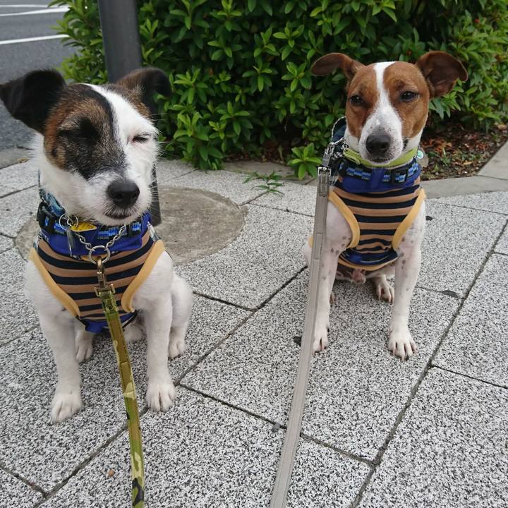 58f1ef30 8280 4350 a9f6 a8e09556e596 1559431933912