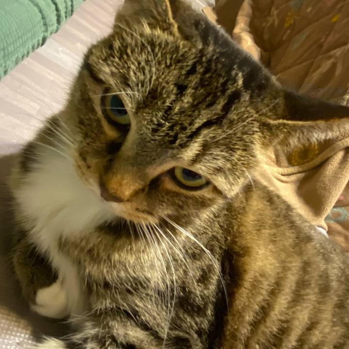 58f1f0bd 82d4 42bd aed8 75d9eadde609 1612537122397