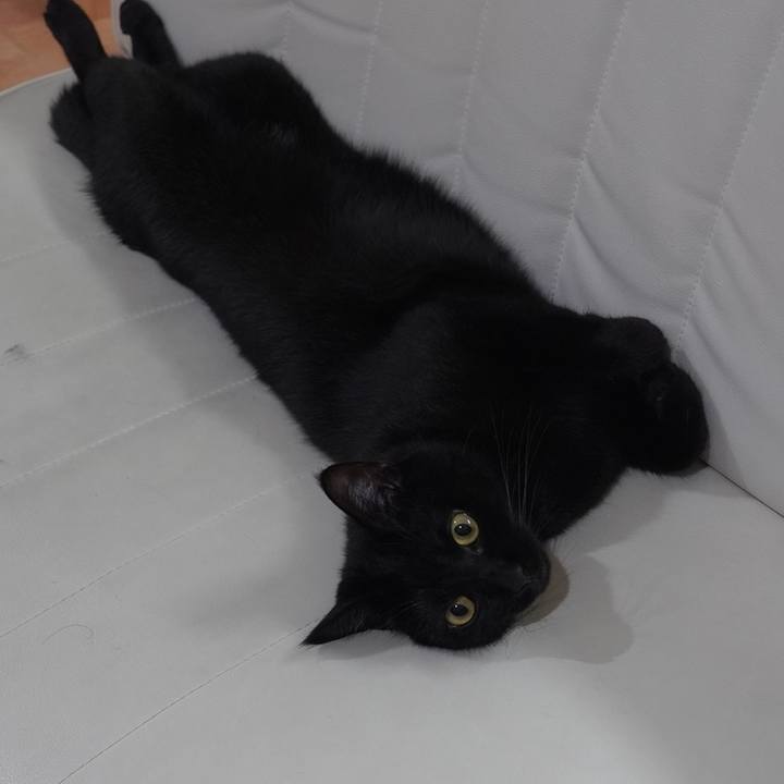 58f200df fb3d 48cc a5ef 6bd8bcbb9d68 1599998656777