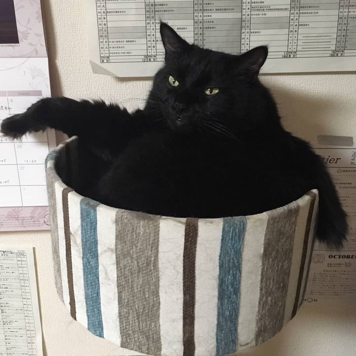 58f20ac5 2c5a 4450 b67e 53a488193e32 1538646853174