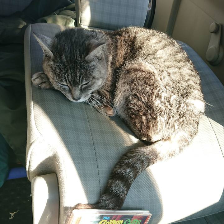 58f26131 7677 4542 b70f 8fa2827cbb76 1584256649591