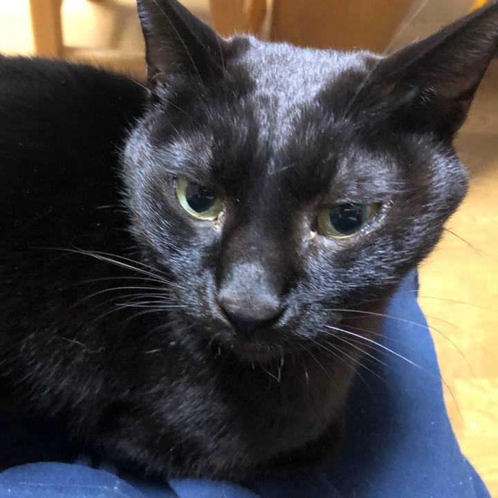 58f26adc 3495 4fce 9c07 82d1b8d83d5f 1734641649295