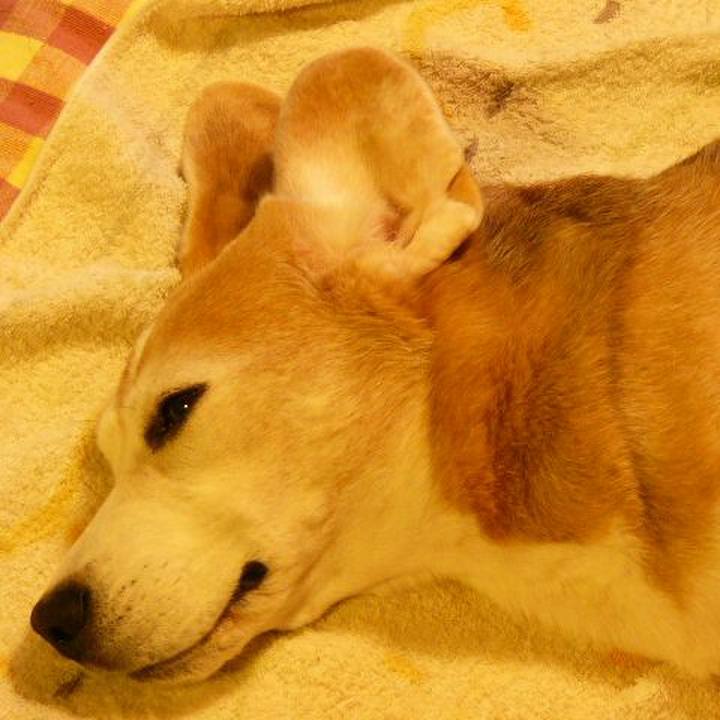 58f26d00 45f5 4adb 9ac4 0aa3703988d6 1671067920685