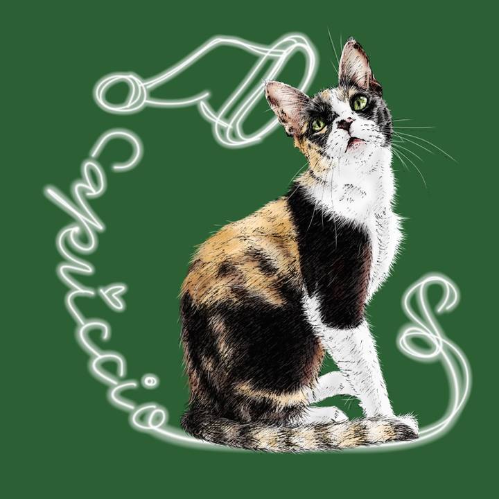 58f2727a 9c23 4d64 aab6 e14994afb976 1608041084250