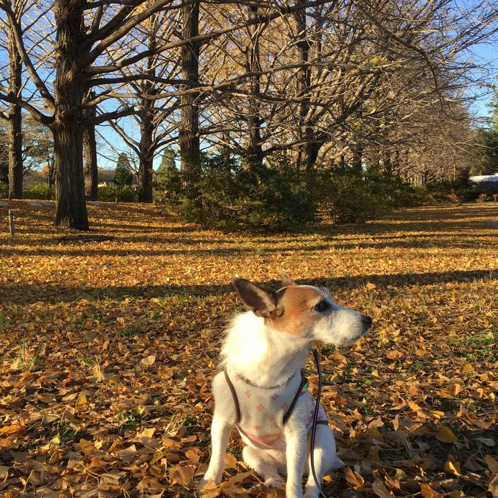 58f278e1 244a 4a0a 936a 533e715c37b2 1638315027211