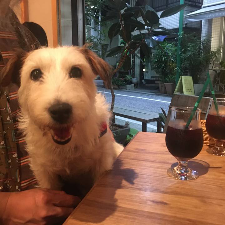 58f27c5c 75b9 41a9 9e19 cc8f81d9bb3a 1664731840291