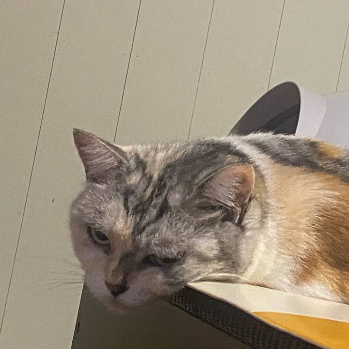 58f29010 61fa 4126 bb7f 1f1e2f694d43 1695049220297