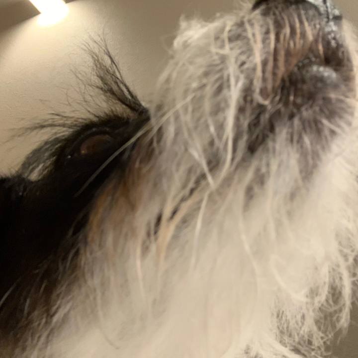 58f2db3f 06db 4158 a3b5 f6f202dd26dd 1572949893782