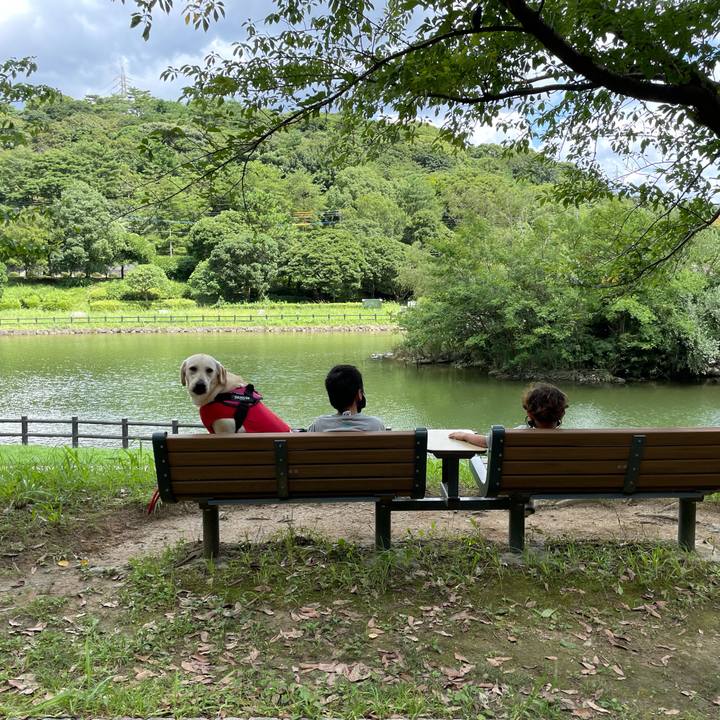 58f2df36 2241 422f a0ca 0e32a9a9d9a8 1629356202515