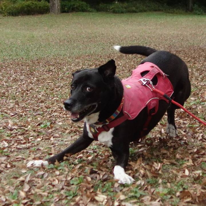 58f2f9f3 c93c 43fc 8829 df4c188fb5c8 1699751000518