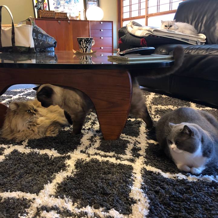 58f30a87 8ca0 41d7 8ab0 d59f8b6ebe42 1608962304038