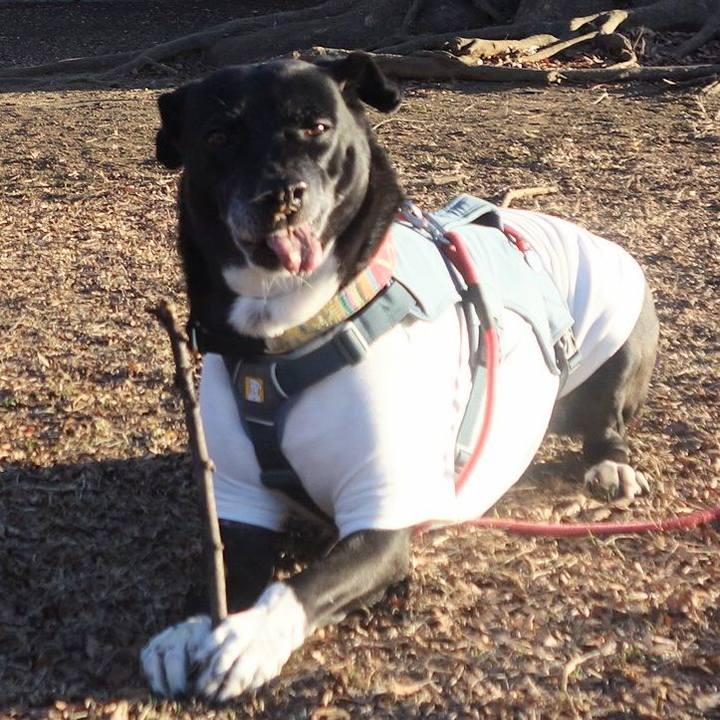 58f31a9f a5ab 4893 b0a1 46bffe1812e8 1704762160272