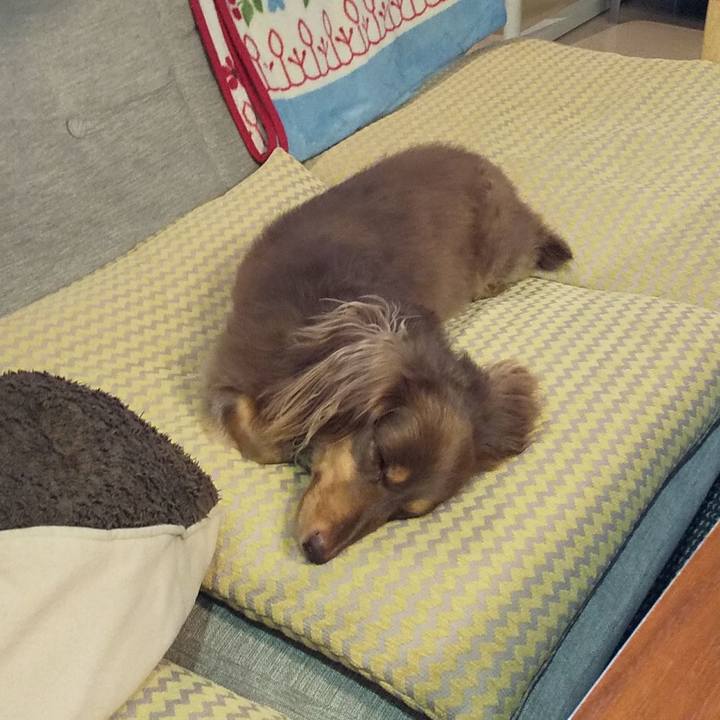 58f32e74 ce02 4c9a a653 479e72b39b87 1565924300528