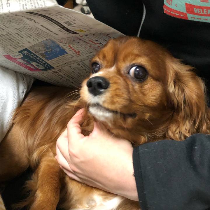 58f3527b bc3e 4cc3 bc16 02d87aaabb2c 1550204834561