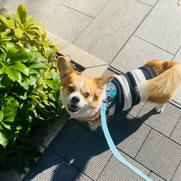 58f3546d eae9 4da9 bf09 28fd6f78d46a 1672284156118