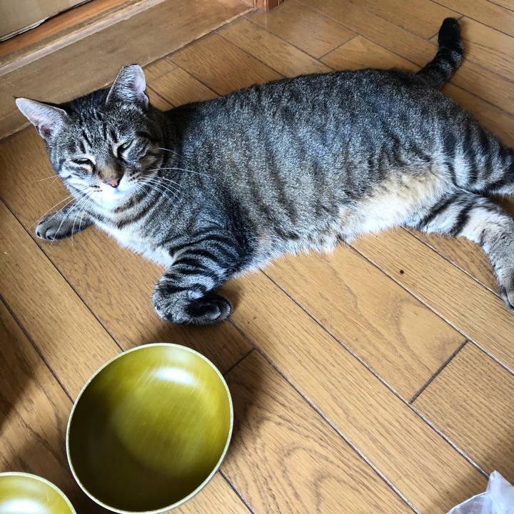 58f3cb26 830d 46b6 a414 ca846d734220 1565850349502