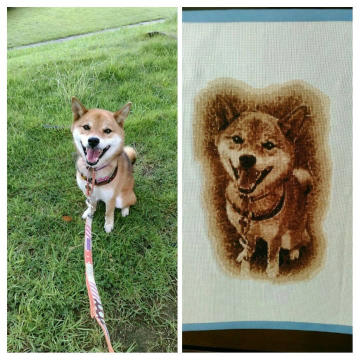 58f43fe0 400e 49fc 842a 0630ceb0cf21 1545803071510