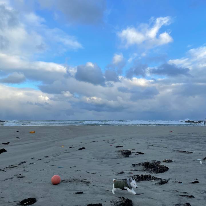 58f4522e 5246 4cf1 872b 77bef0b641e2 1611098491036