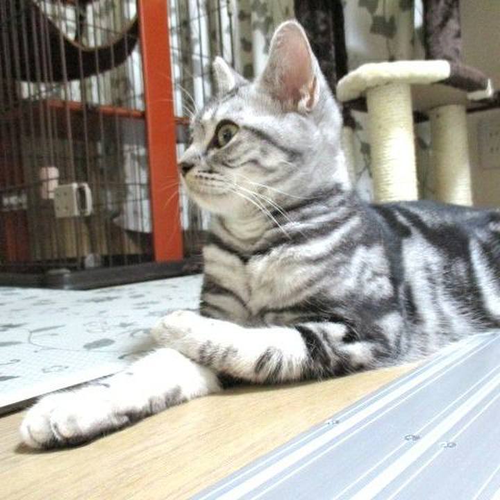 58f46a0b 0cae 4b9b 827c 150a32d657af 1539431718783