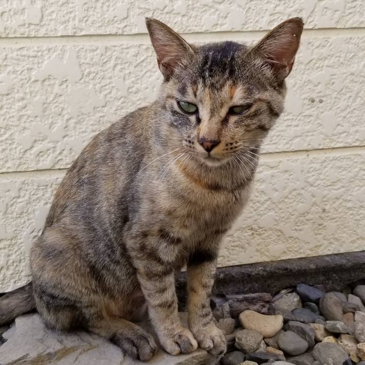 58f48659 12ab 42ca b40b 14779254b835 1692537878852