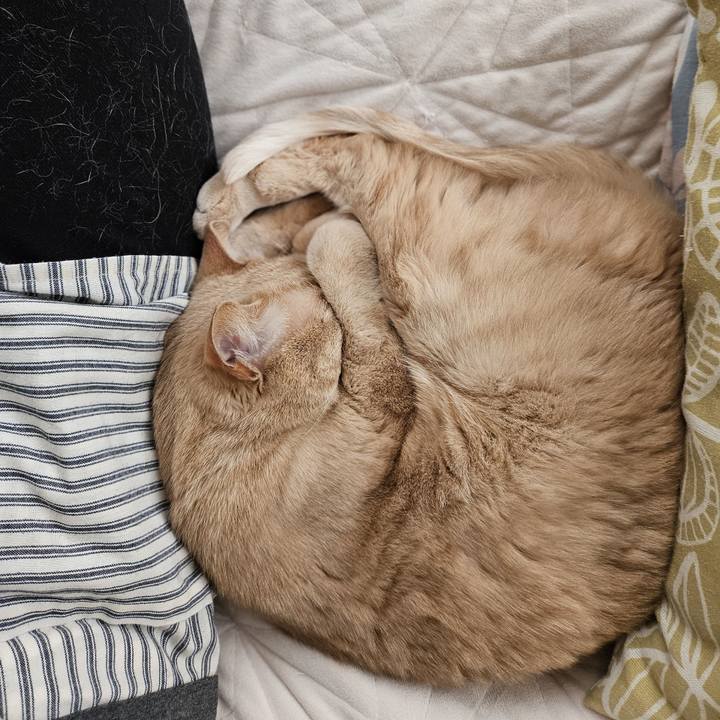 58f509a2 3b89 4c16 b3d7 91da752b9a0d 1772342161702