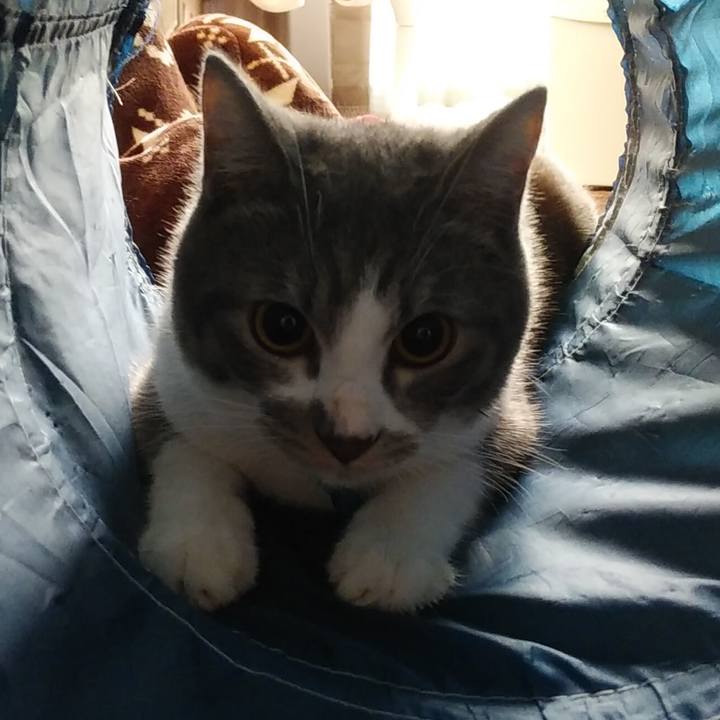 58f5ab9a 1115 4c39 b4ca a4a6b36887d5 1580690009788