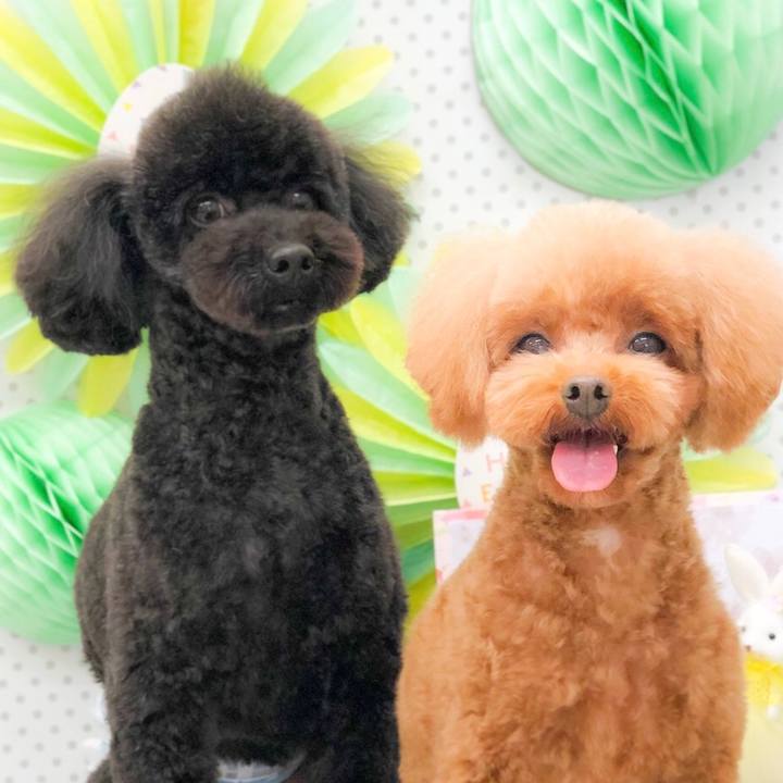 58f5addf 54bc 4d62 bf24 5966a3e8a716 1616970018016