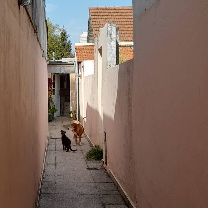 58f6194b 2a78 4b3c a1a2 7ab0e8b60e2a 1755913905621