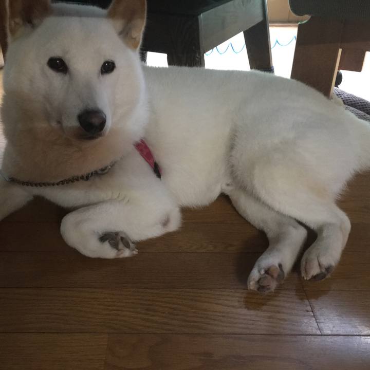 58f64902 fe43 4996 bbe1 5edba885ee41 1537771971375