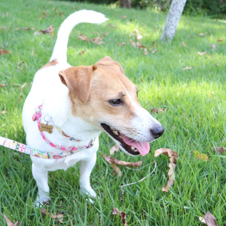 58f6533d aa56 4dec 942c 45317796e099 1537680924288