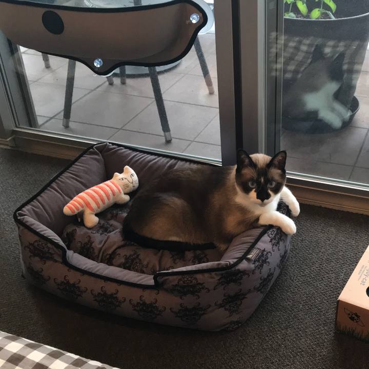 58f666a5 f94e 43dd adae 6bff4d306bb3 1525143448771