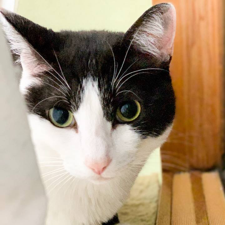 58f676e9 164a 4f91 bce6 d67558d8dbf8 1562031675510