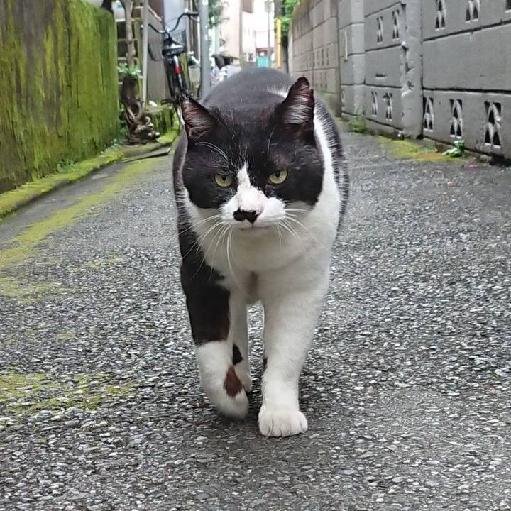 58f69a65 92f9 43a0 ade2 55647114f3bb 1628464404722