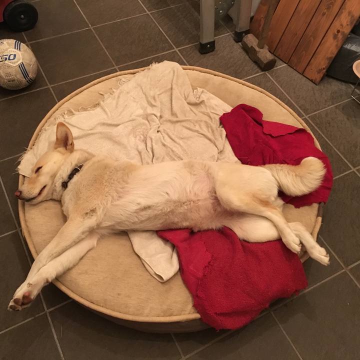 58f6a0f0 1a9b 40a8 80b4 44878ee4ddf0 1524481921715