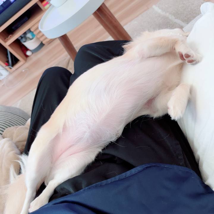 58f6a26a 5f17 496d 9357 9a6e08fe8af9 1693744885256