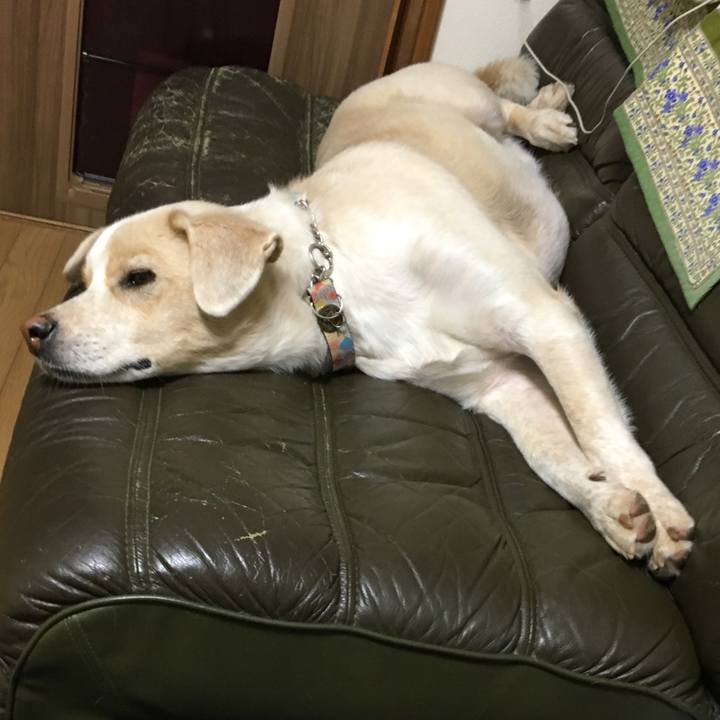 58f6b134 a517 4fff af48 6113f906af47 1540823580936