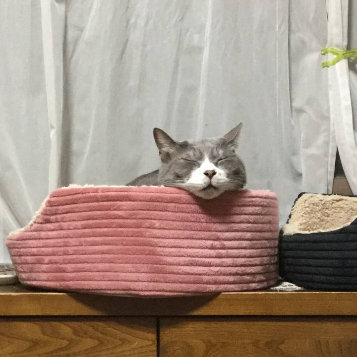 58f6bfe2 e8f9 42dd a83f f9433627c2e6 1553243901801