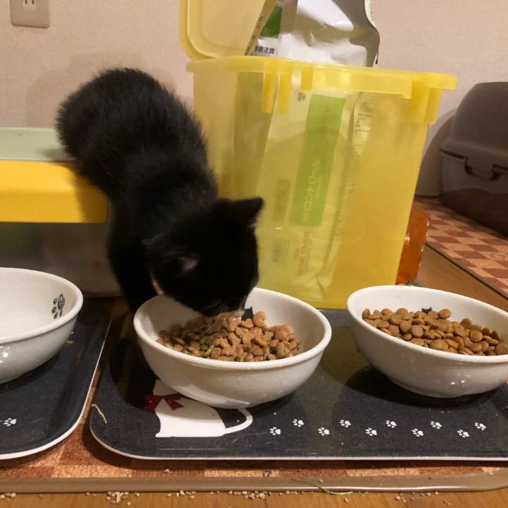 58f6d2ab db08 407c 9061 c83870046ca7 1538057204871