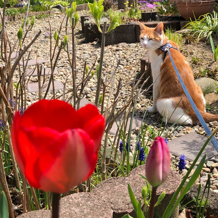 58f711dd 0f7c 469b 880b 2ceff1512fe2 1556012738327