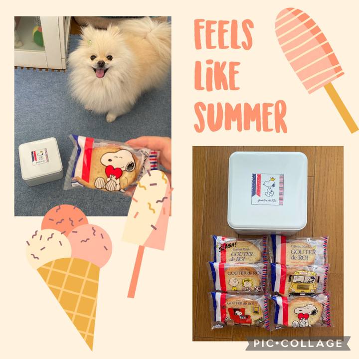 58f71ba3 a906 4d7a ad88 7e9d8f66c114 1626411701476