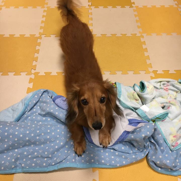 58f71c36 e2da 486f a358 7902fd7dbbeb 1595416495583