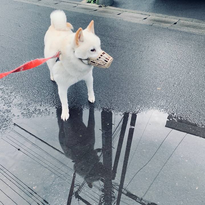 58f74b7a dd14 4fdd 9a35 613c7fd4668f 1600033476911