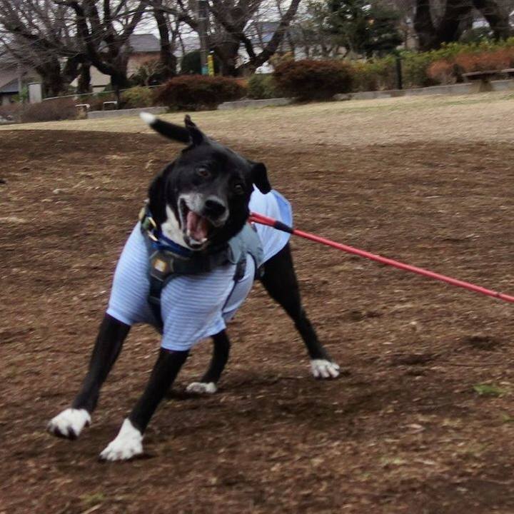 58f75505 027f 4096 96f1 47db9febcf83 1707098049090