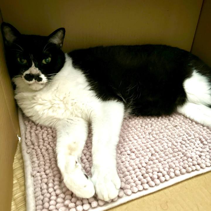 58f77ca8 4ba1 4588 aa76 7c1e9021eb16 1724820660311