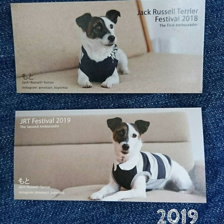 58f7e5e9 eefb 4597 9564 6267efea4971 1564630682399