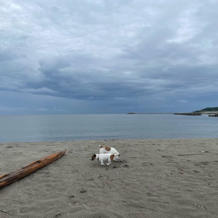 58f84591 1871 446e 845d 52beff73a214 1725318891820