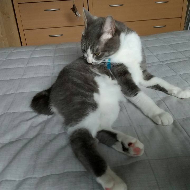 58f85357 6871 4427 b98d 045607f18c67 1622934518779