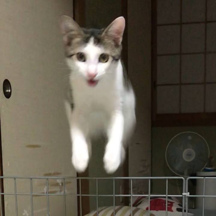 58f857b8 e2c8 4fe0 a70c 2e02b3cd71a0 1537418807027