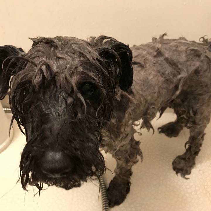 58f85cb5 5995 4183 a5a2 0e553855e0b2 1523547915338