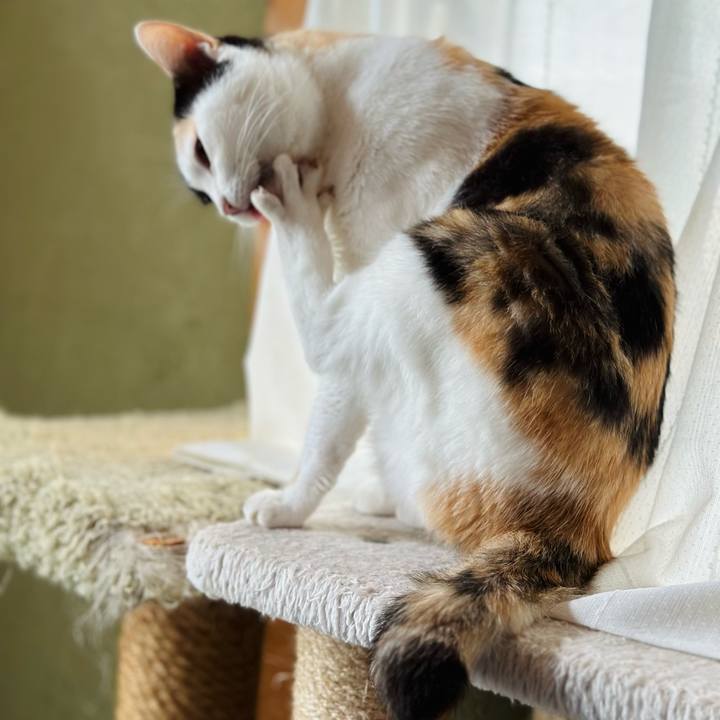 58f8a42e f60b 4221 a507 f376137a0ccb 1666319837910